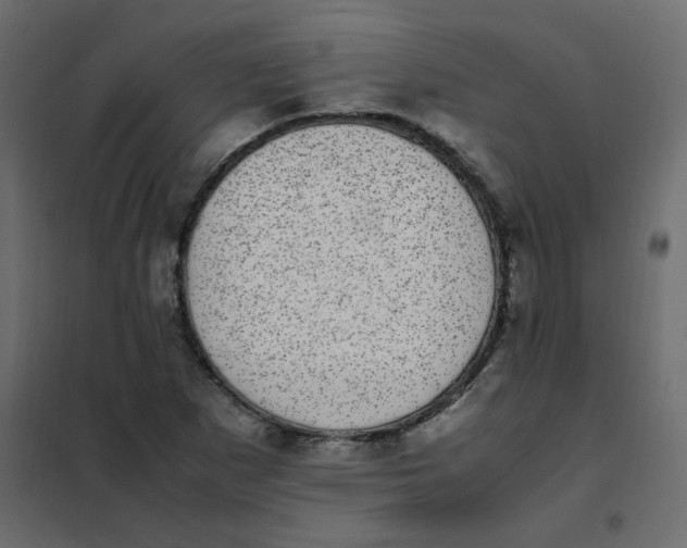 X0000101991265200808081626