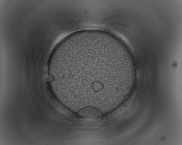 X0000101991267200808081626