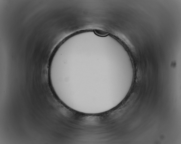 X0000101991268200808081626