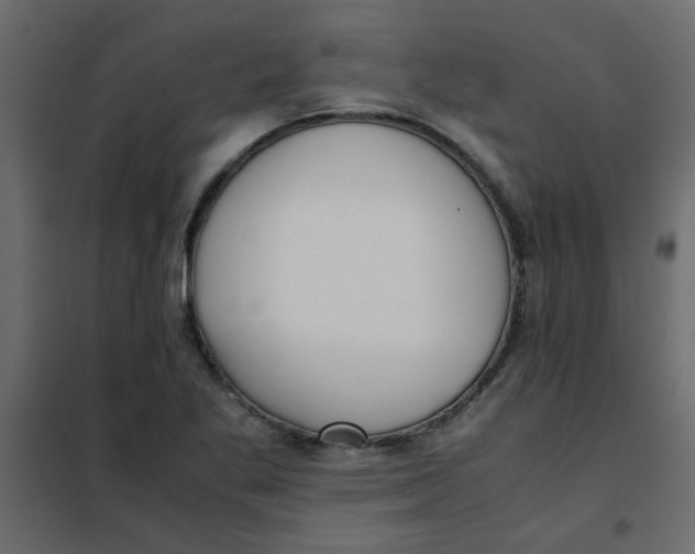 X0000101991269200808081626