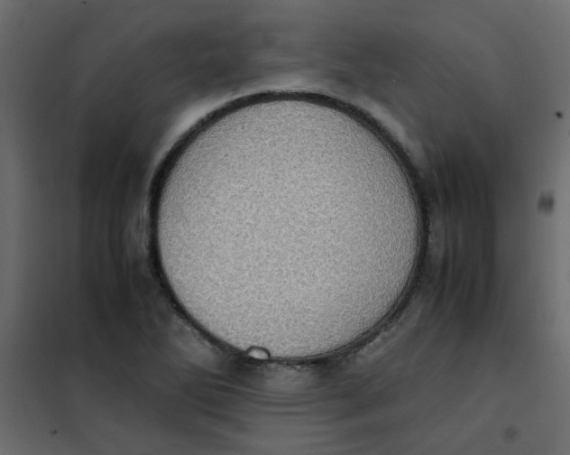 X0000101991270200808081626