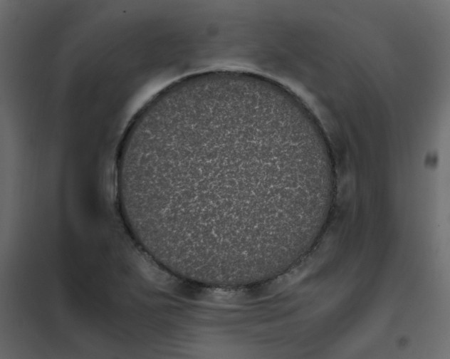 X0000101991271200808081626