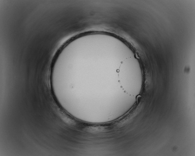 X0000101991272200808081626