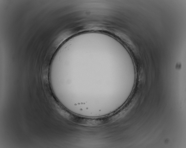 X0000101991273200808081626