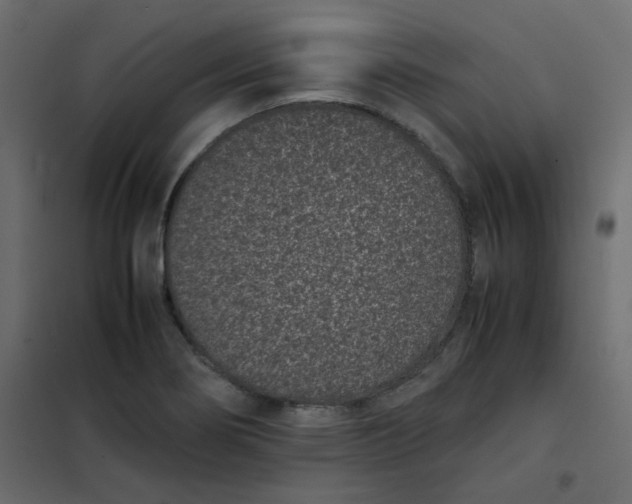 X0000101991274200808081626