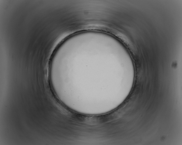 X0000101991275200808081626