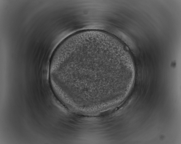 X0000101991276200808081626