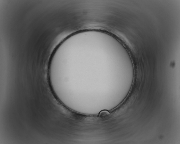 X0000101991277200808081626