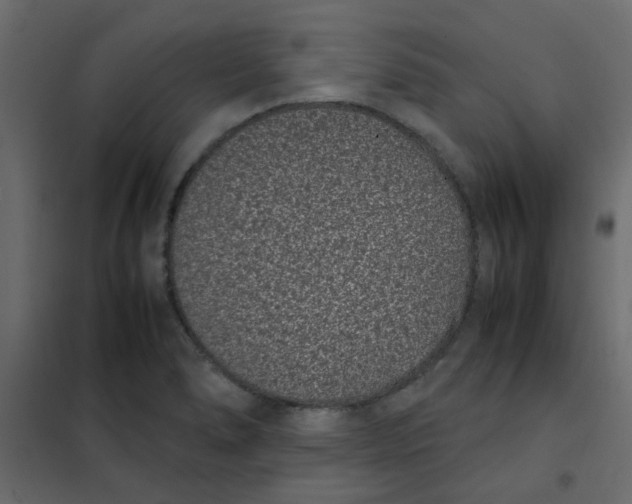 X0000101991278200808081626