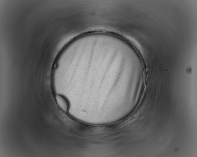 X0000101991279200808081626