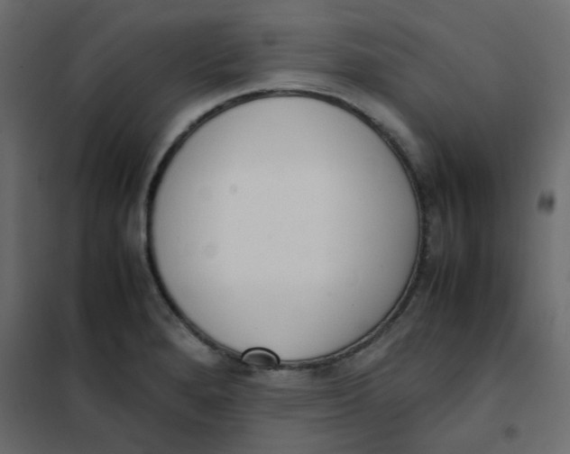 X0000101991280200808081626