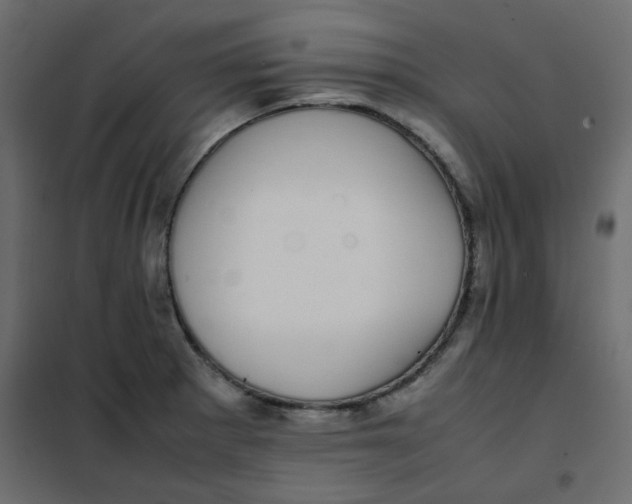 X0000101991281200808081626