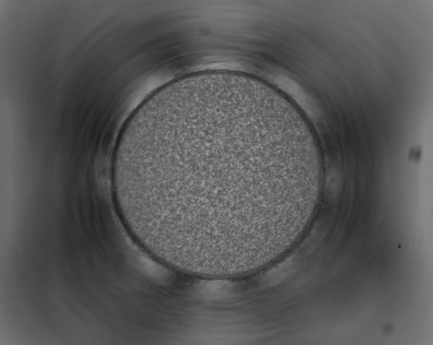 X0000101991282200808081626