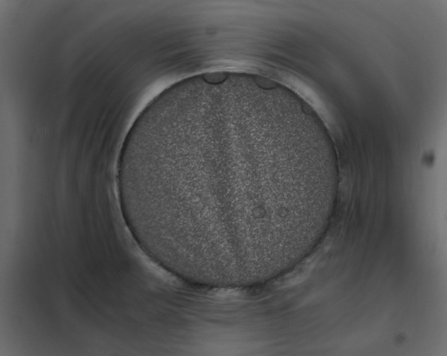 X0000101991283200808081626