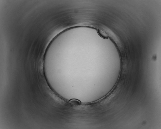 X0000101991284200808081626