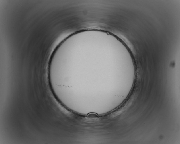 X0000101991285200808081626