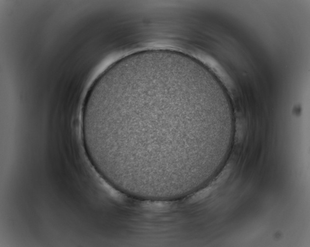 X0000101991286200808081625