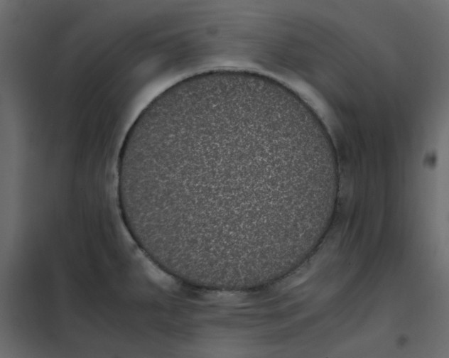 X0000101991287200808081625