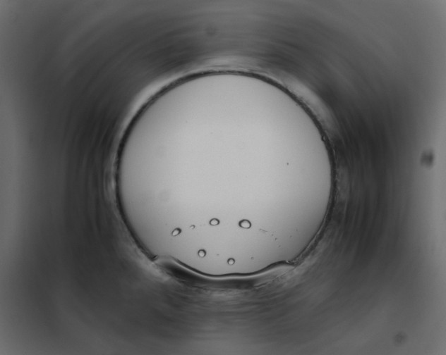 X0000101991288200808081625