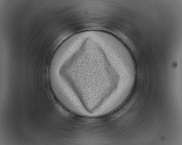 X0000101991289200808081625