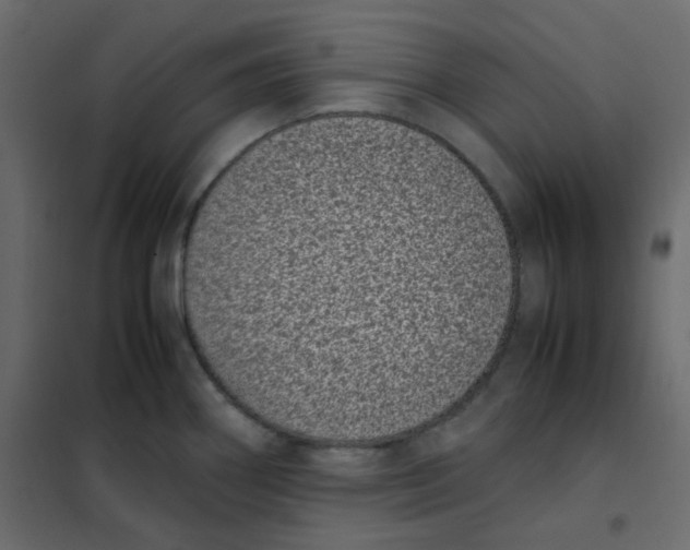 X0000101991290200808081625