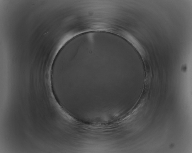 X0000101991291200808081625