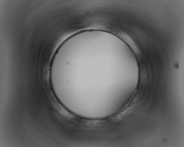 X0000101991292200808081625