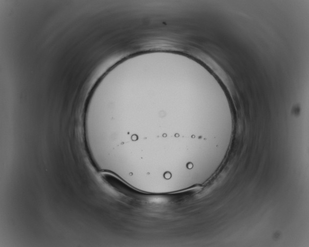 X0000101991293200808081625