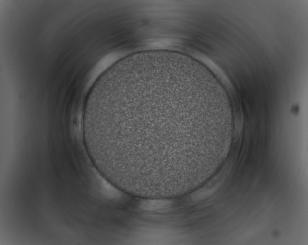 X0000101991294200808081625