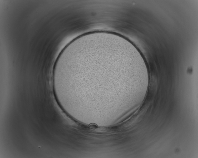 X0000101991295200808081625