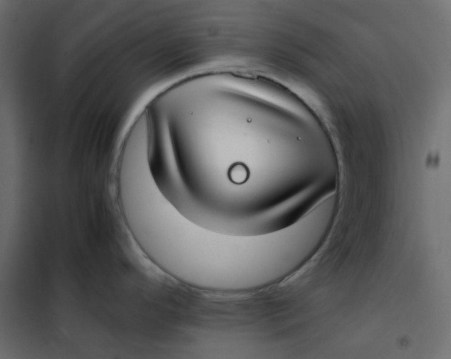 X0000101991296200808081625