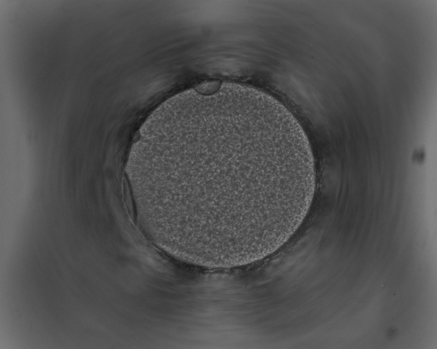 X0000101991297200808081624