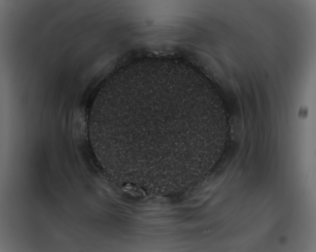 X0000101991298200808081624