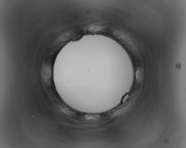 X0000101991299200808081624