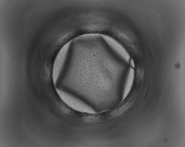 X0000101991300200808081624