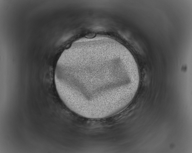 X0000101991301200808081625