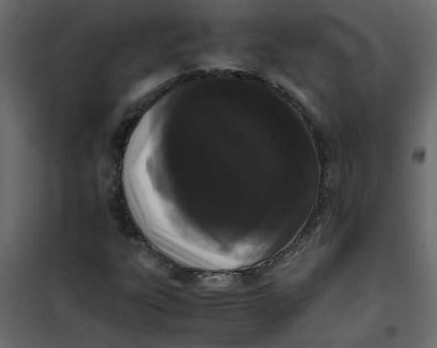 X0000101991303200808081625