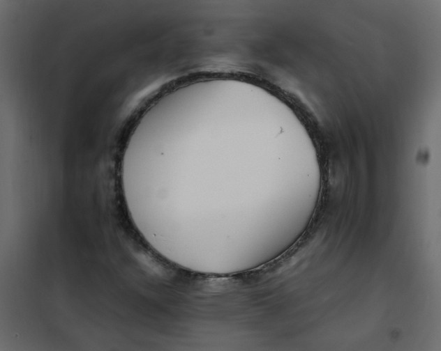 X0000101991304200808081625