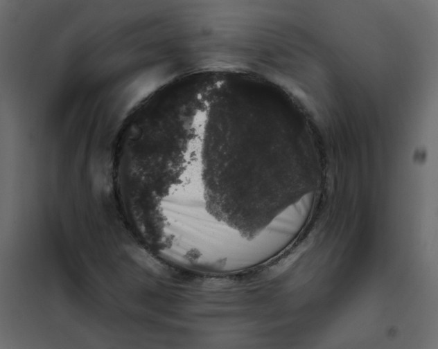 X0000101991306200808081625