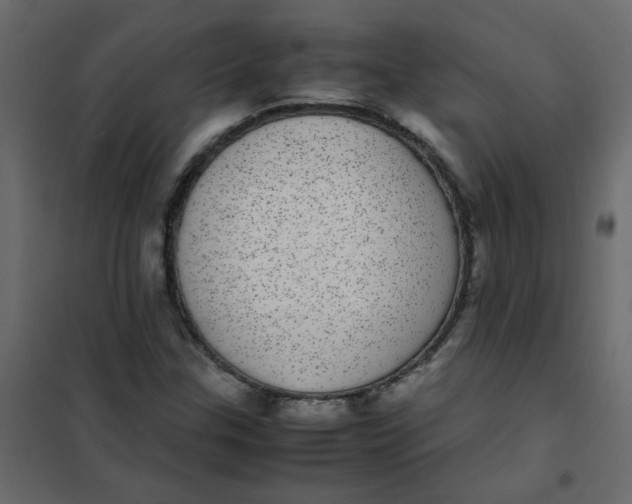 X0000101991307200808081625