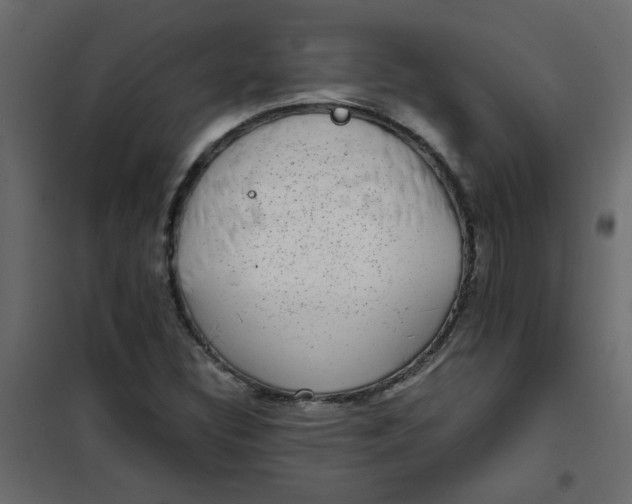 X0000101991308200808081625