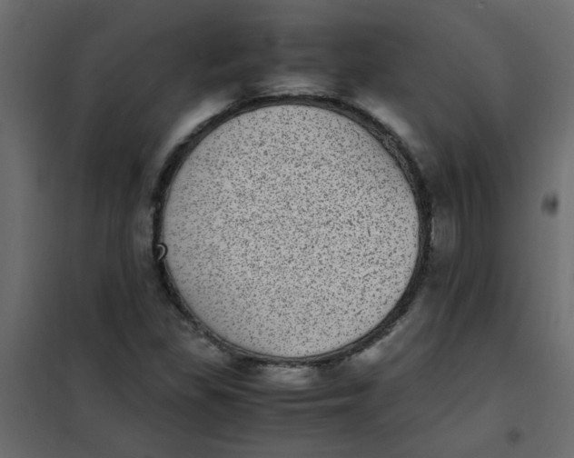 X0000101991309200808081625