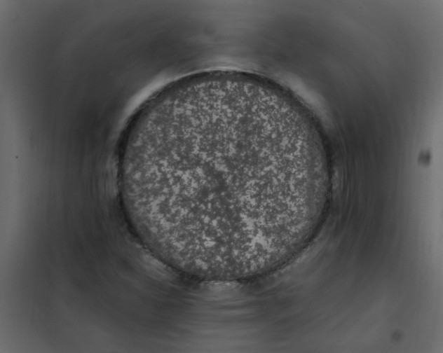 X0000101991310200808081625