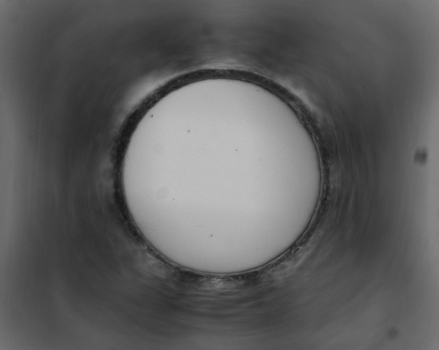 X0000101991311200808081625