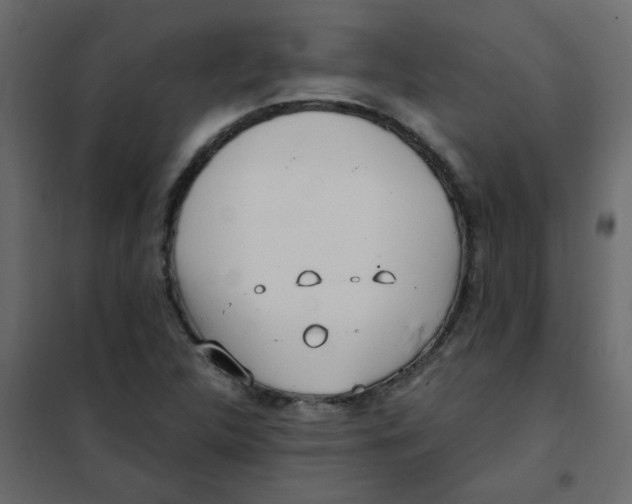 X0000101991312200808081625