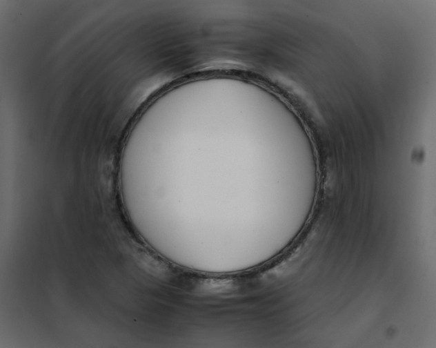 X0000101991313200808081625