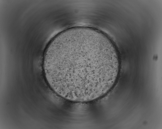 X0000101991314200808081625