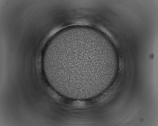 X0000101991315200808081625