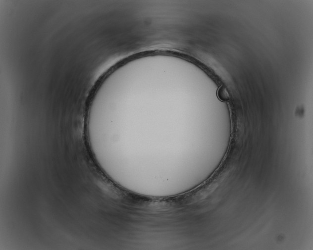 X0000101991316200808081625