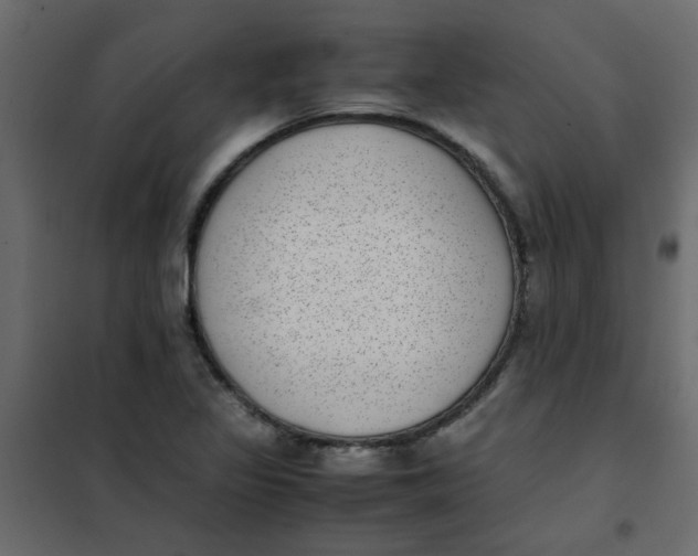 X0000101991317200808081625